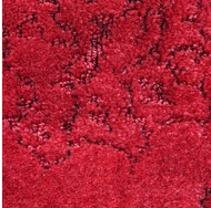 Signature Fleur Carnation 10